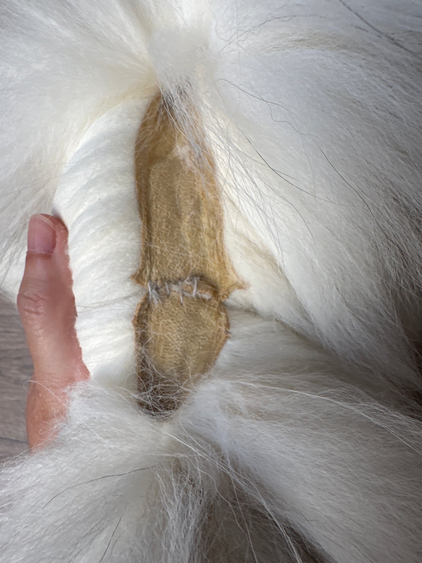 Sun Glow fox pelt (24)
