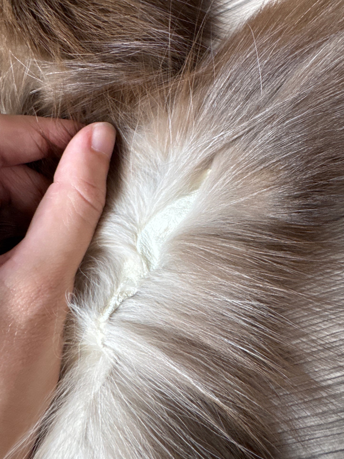 Burgundy fox pelt (17)