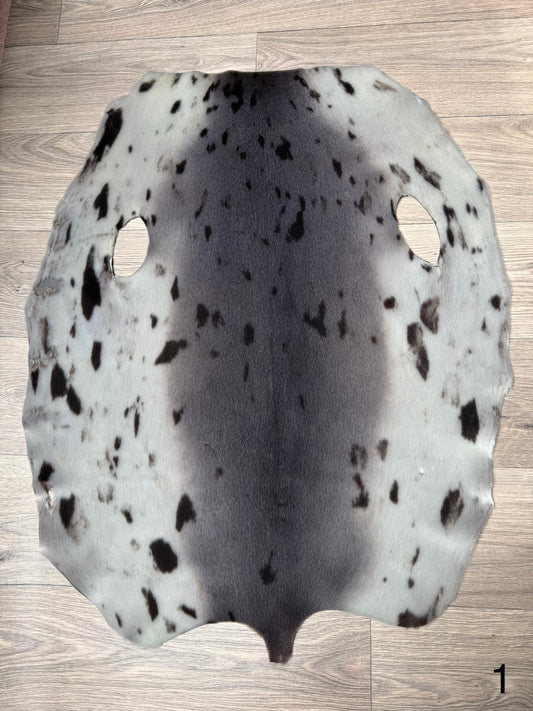 Harp seal skin (1)