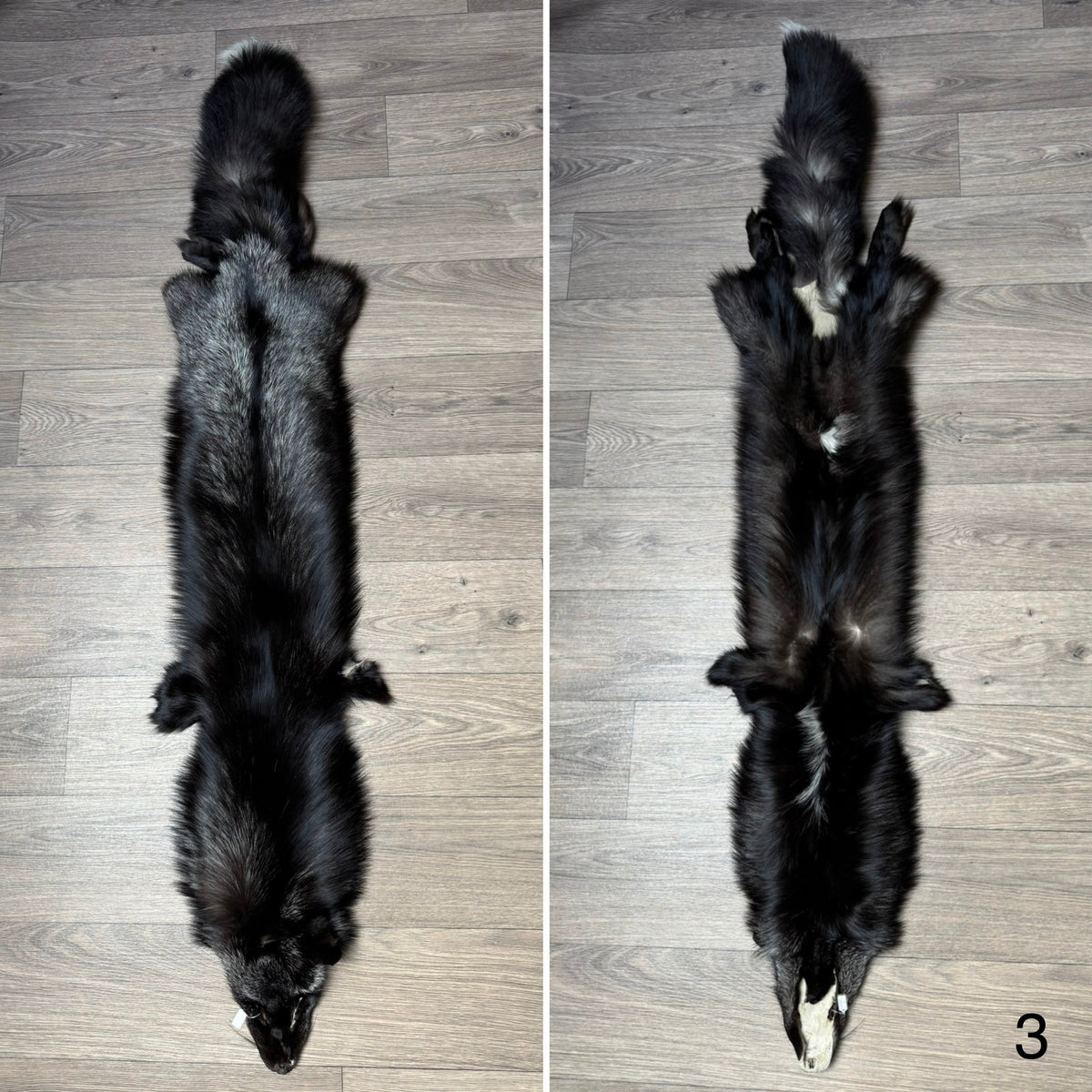 Silver fox pelt (3)