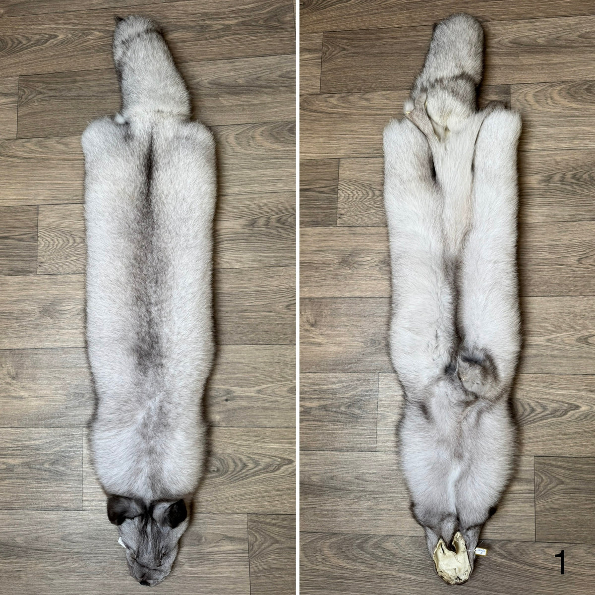 Blue fox pelt (1)