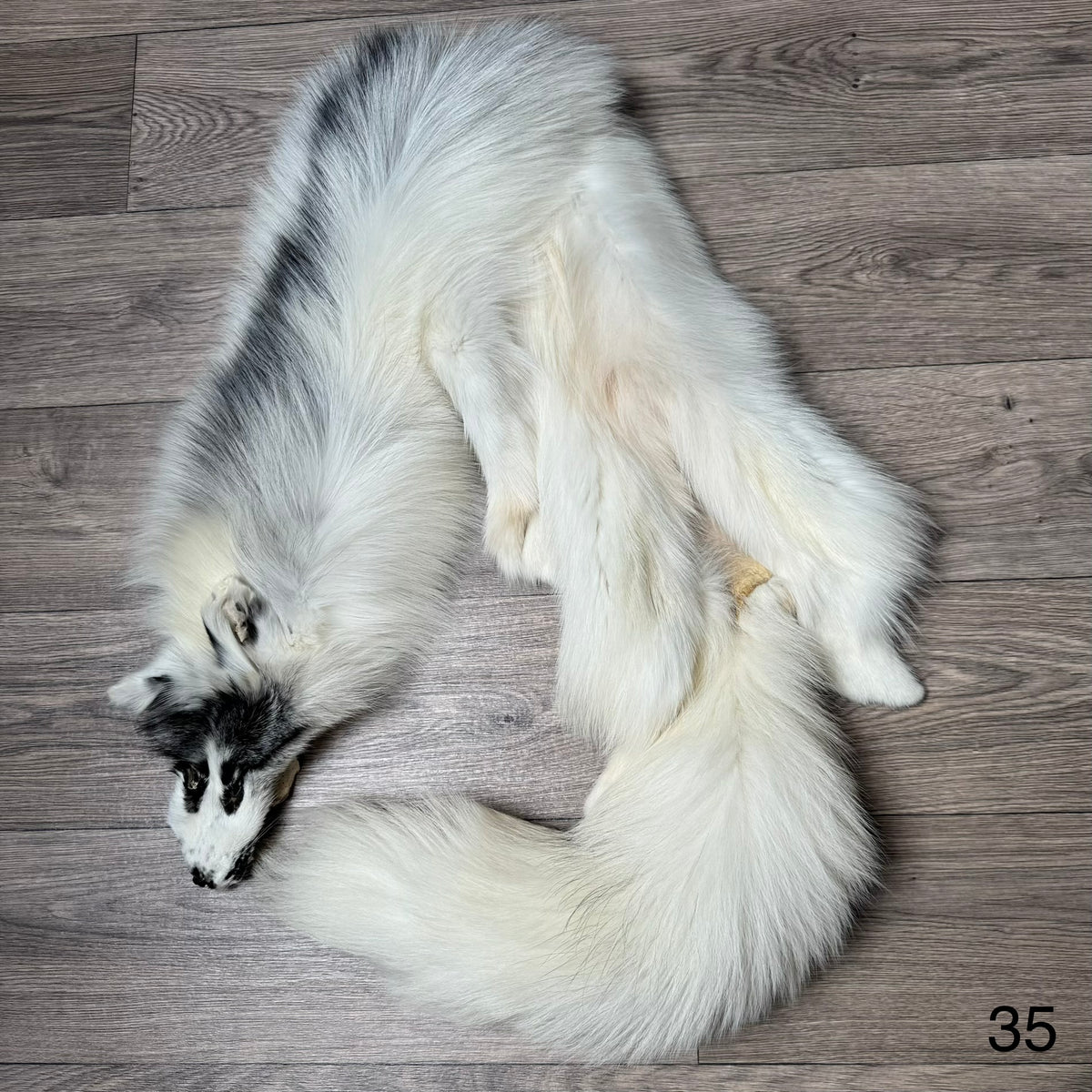 Arctic Marble fox pelt (35)