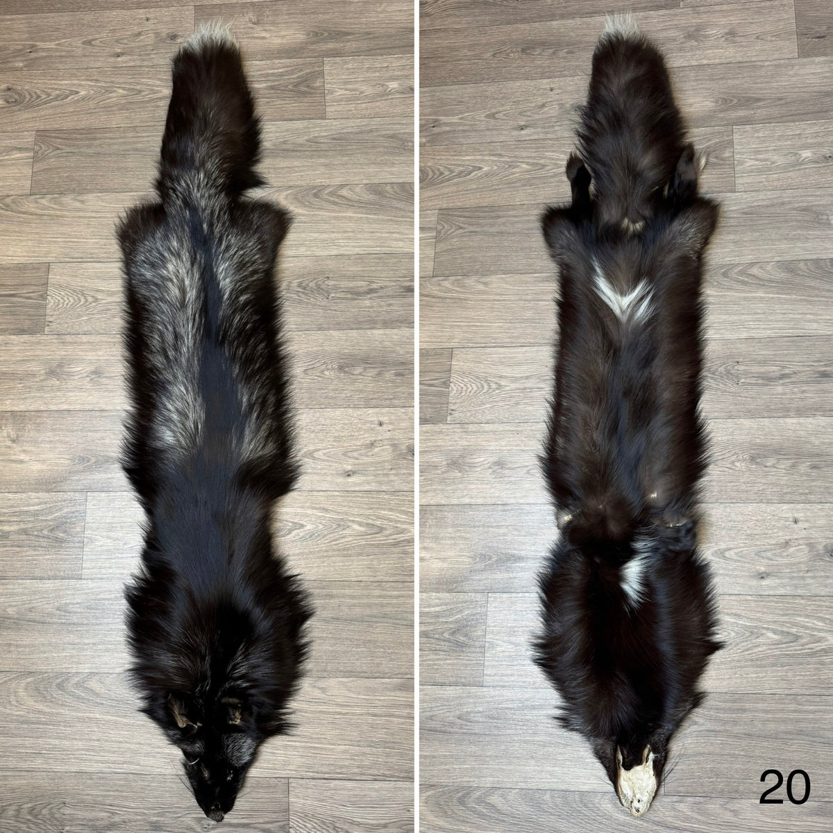 Silver fox pelt (20)