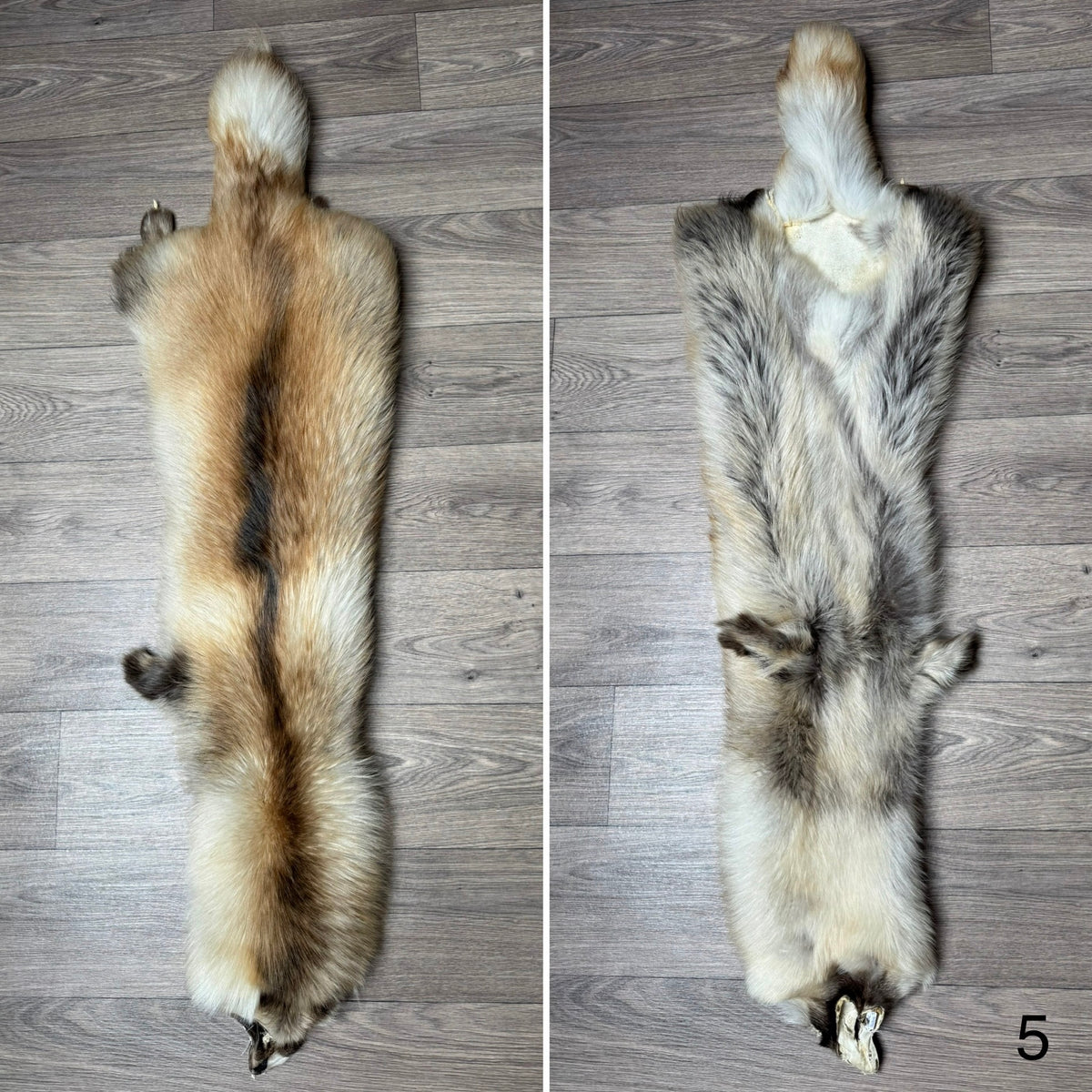 Arctic tanuki pelt (5)