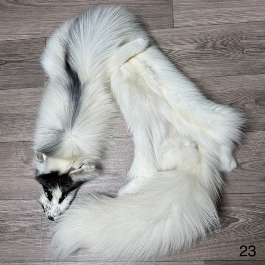 Arctic Marble fox pelt (23)