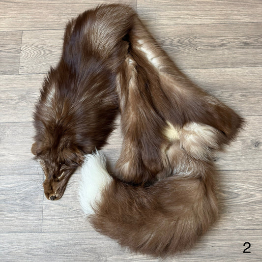 Burgundy fox pelt (2)