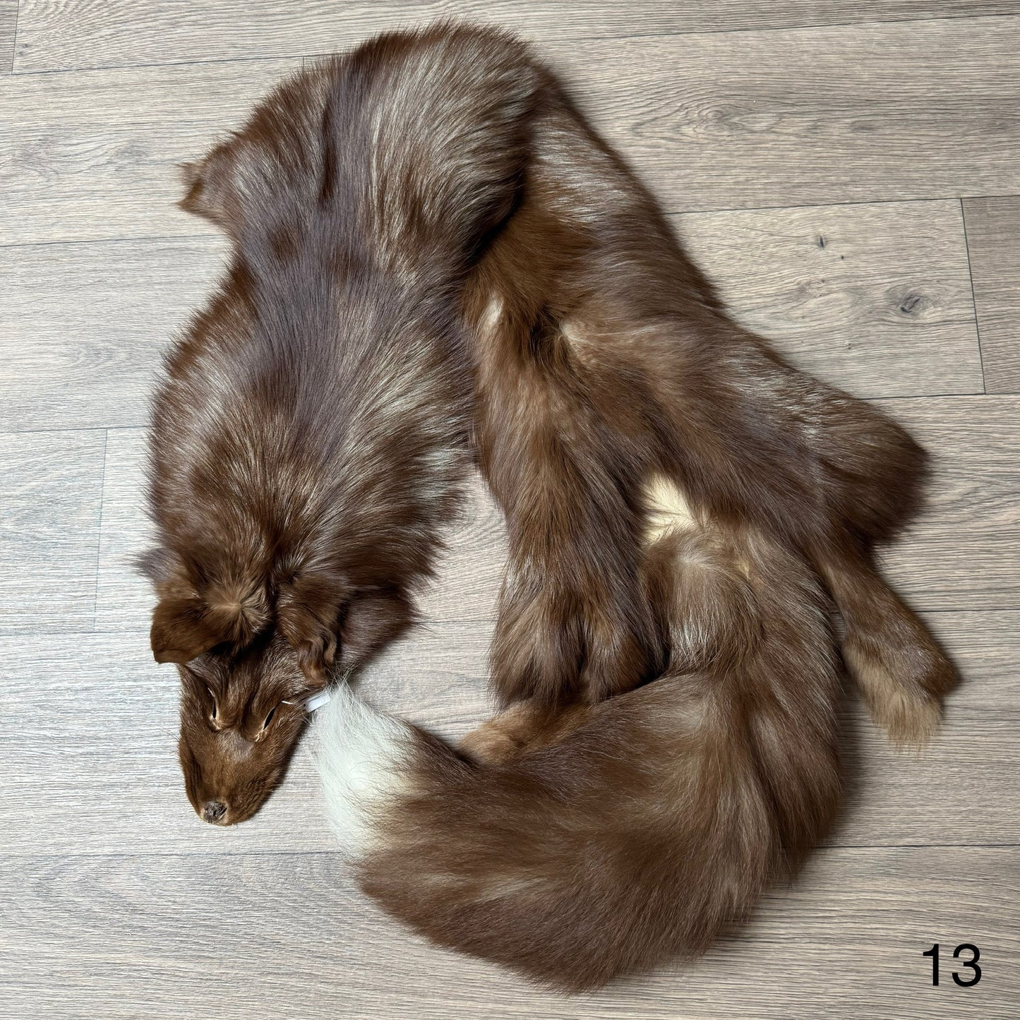 Burgundy fox pelt (13)