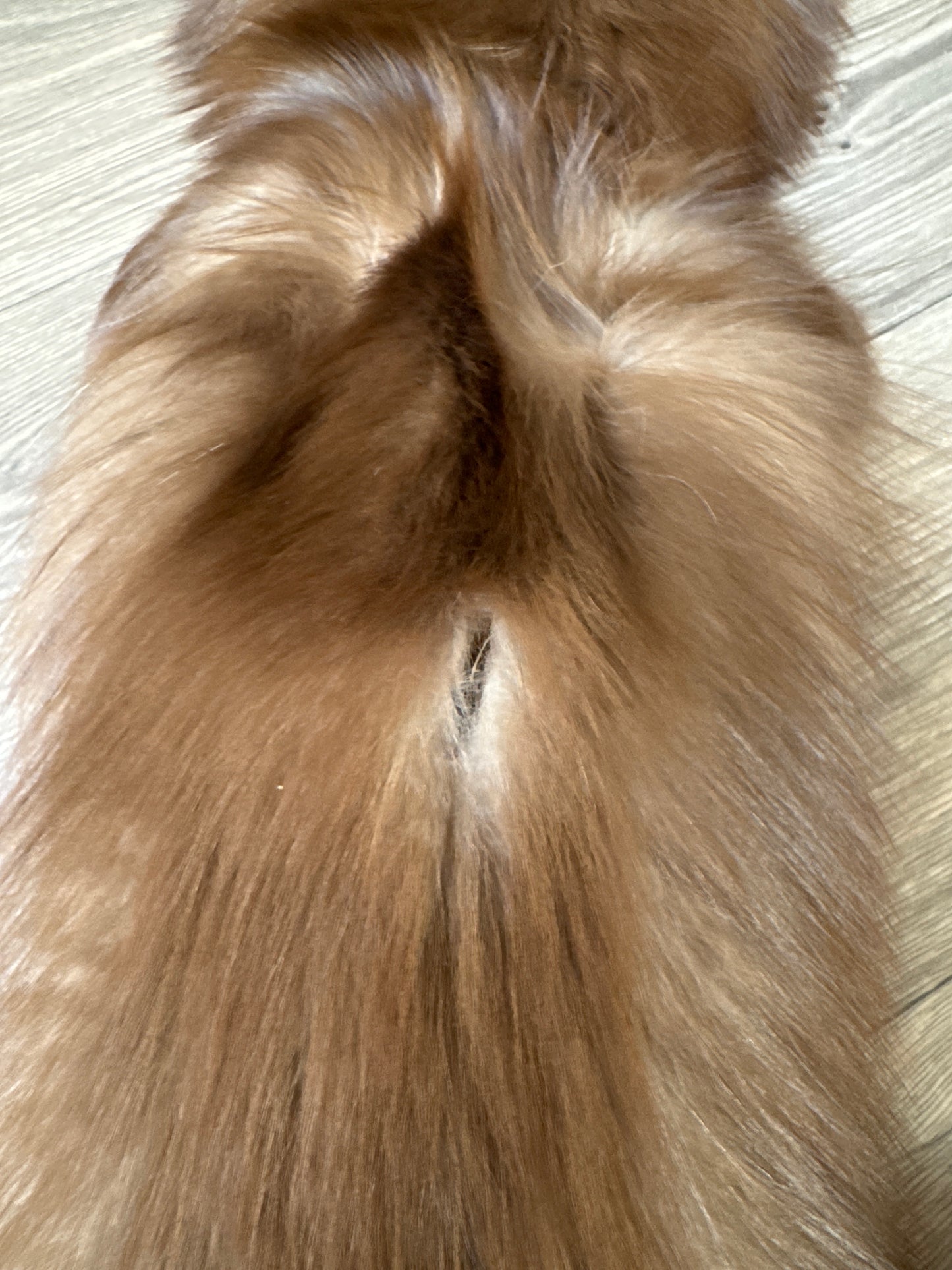 Burgundy fox pelt (4)