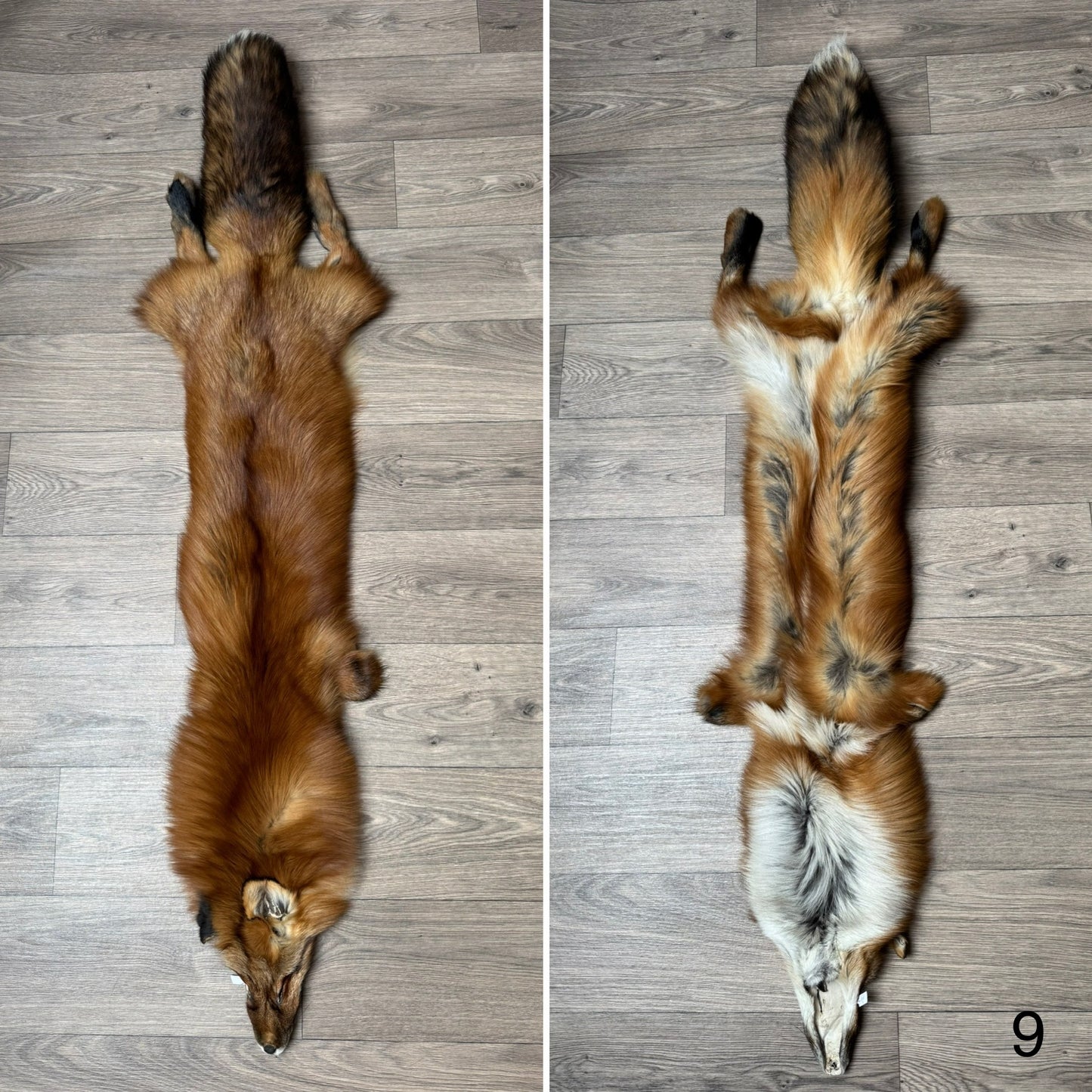 Gold fox pelt (9)