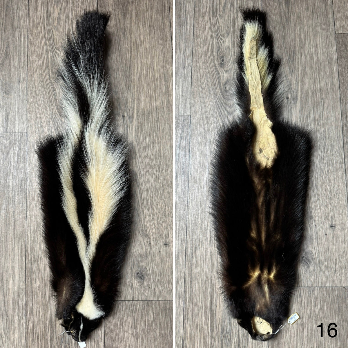 Skunk pelt (16)