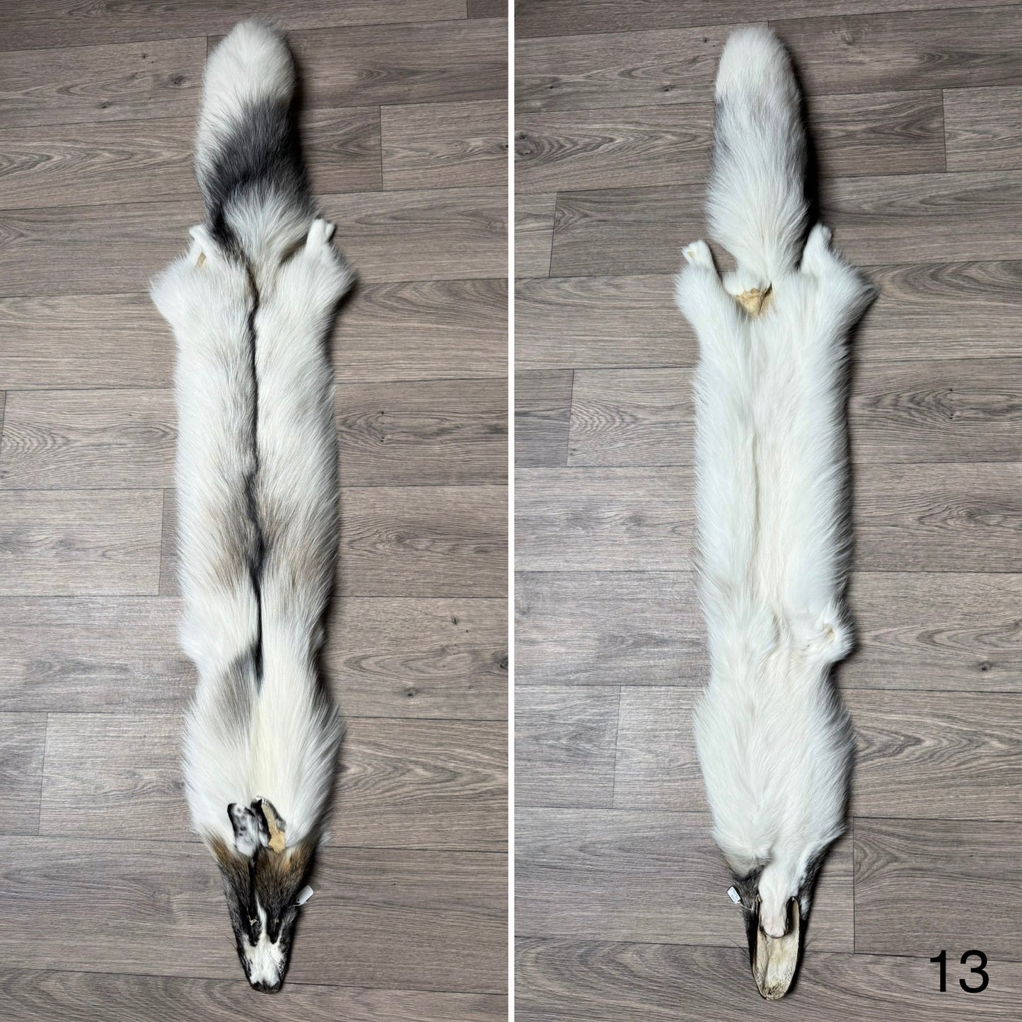 Cross Marble fox pelt (13)