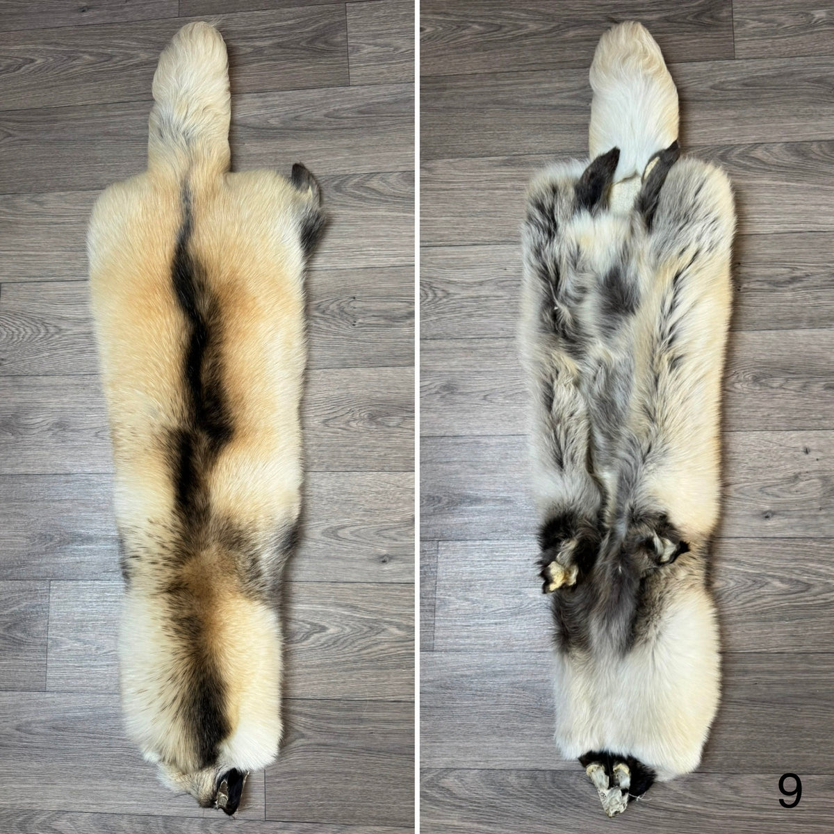 Arctic tanuki pelt (9)