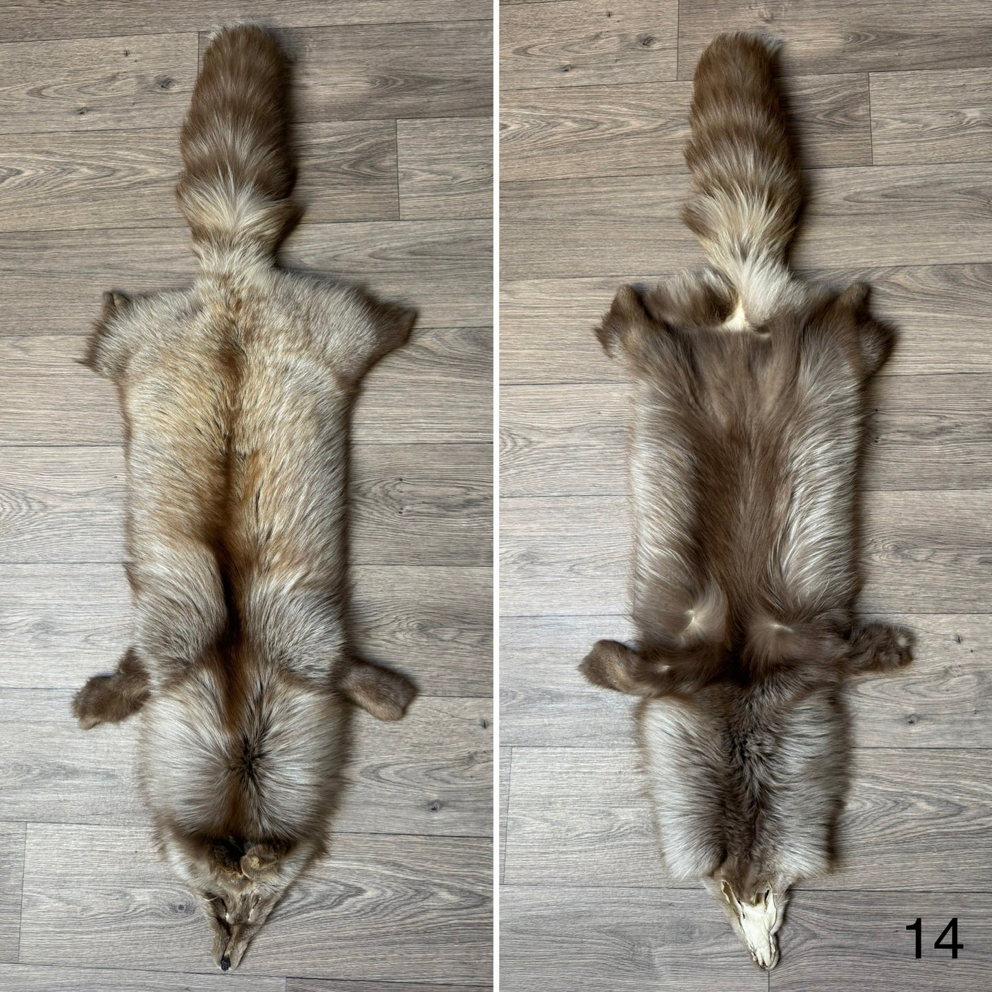 Polish Pastel fox pelt (14)