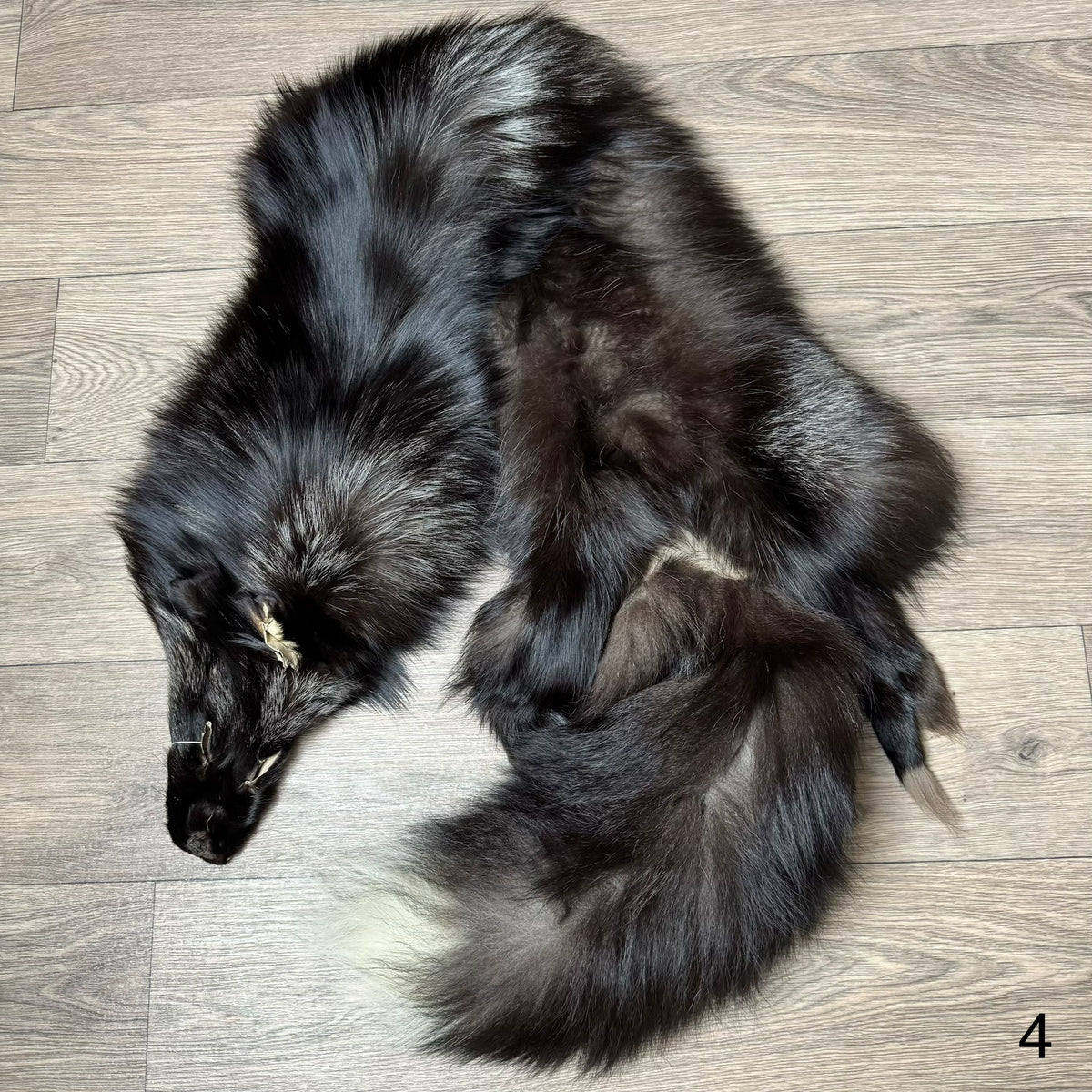 Silver fox pelt (4)