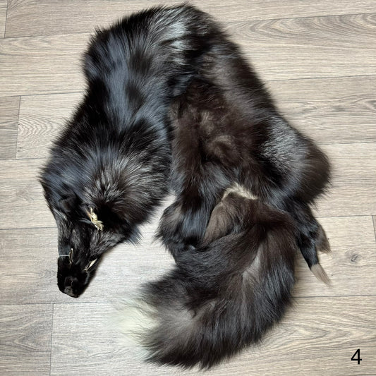 Silver fox pelt (4)