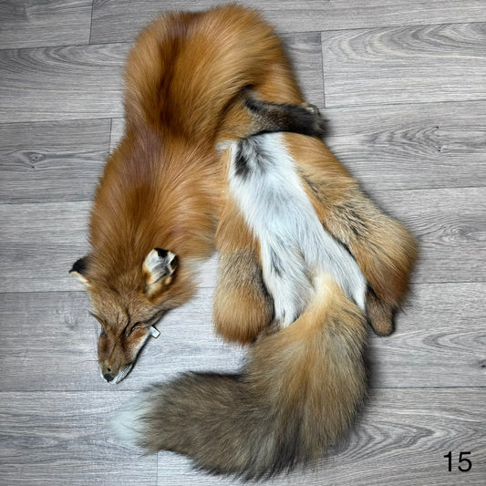 Gold fox pelt (15)
