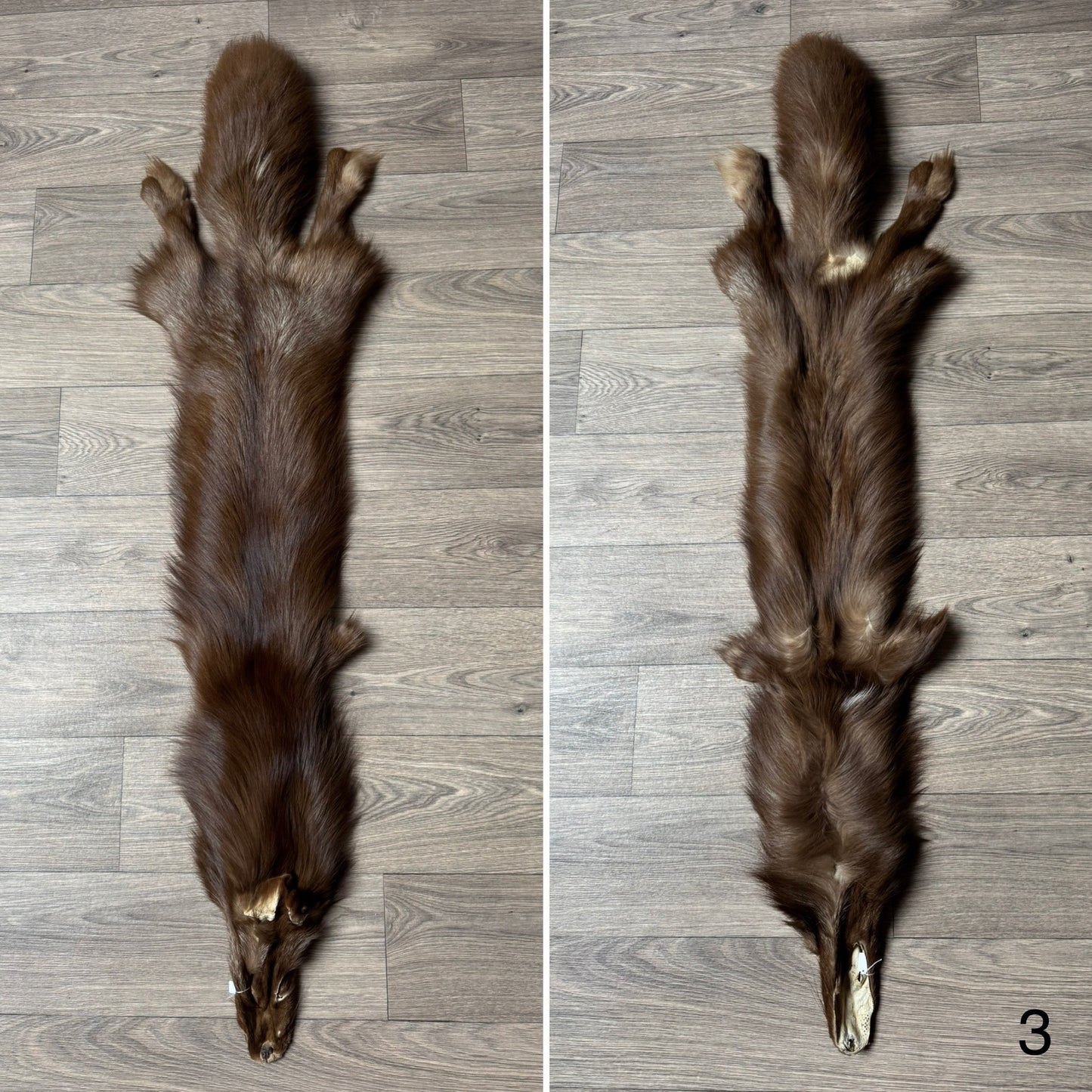 Burgundy fox pelt (3)