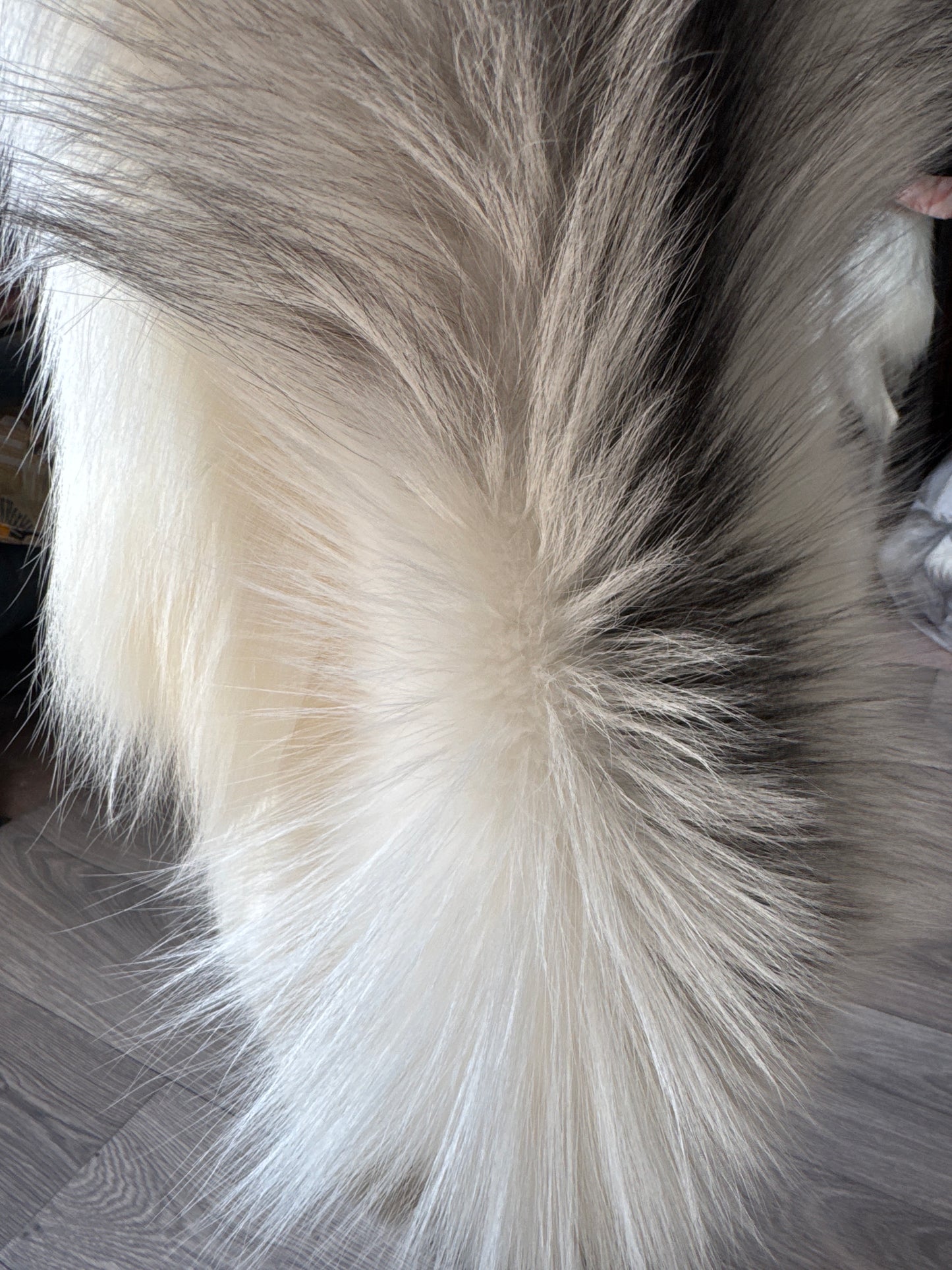 Cross Marble fox pelt (16)