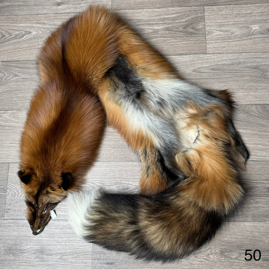 Gold fox pelt (50)
