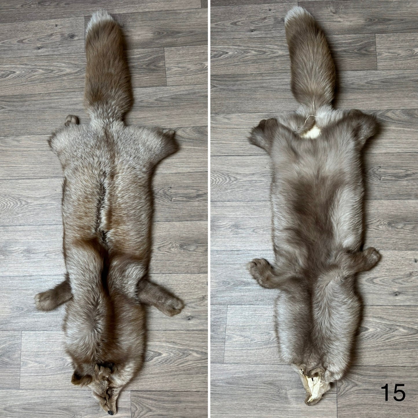 Polish Pastel fox pelt (15)