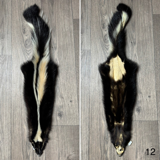 Skunk pelt (12)