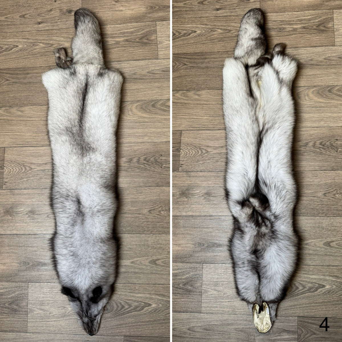Blue fox pelt (4)