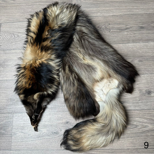 Tanuki pelt (9)