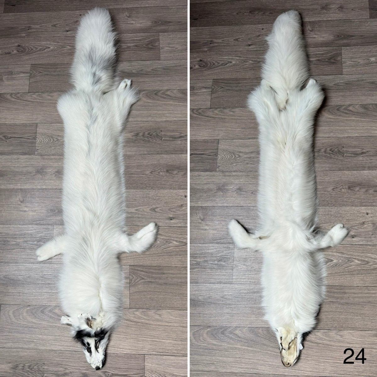 Arctic Marble fox pelt (24)