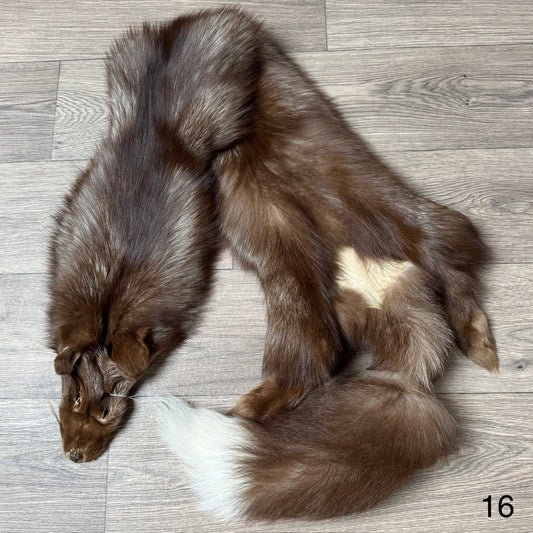 Burgundy fox pelt (16)