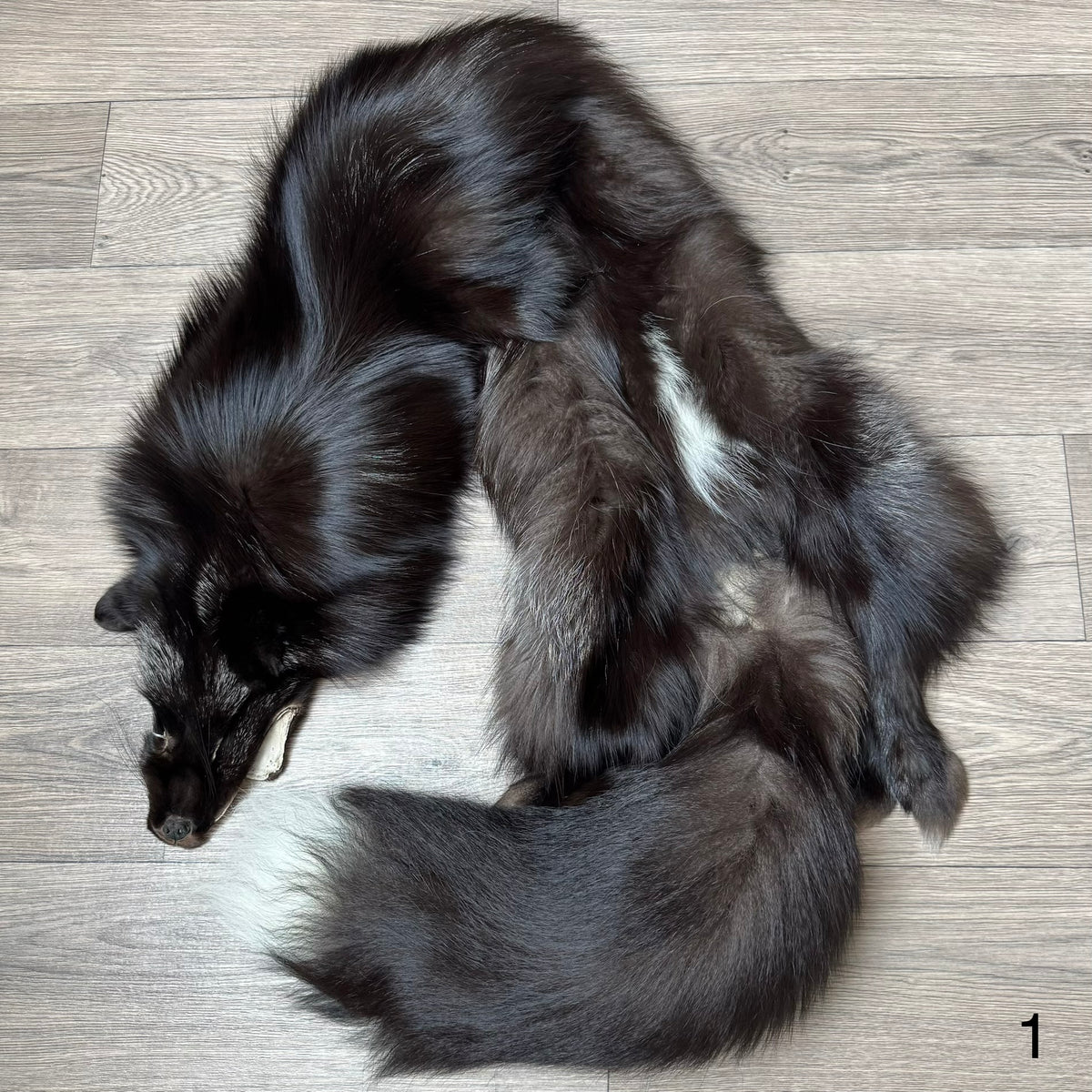 Silver fox pelt (1)