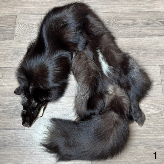 Silver fox pelt (1)
