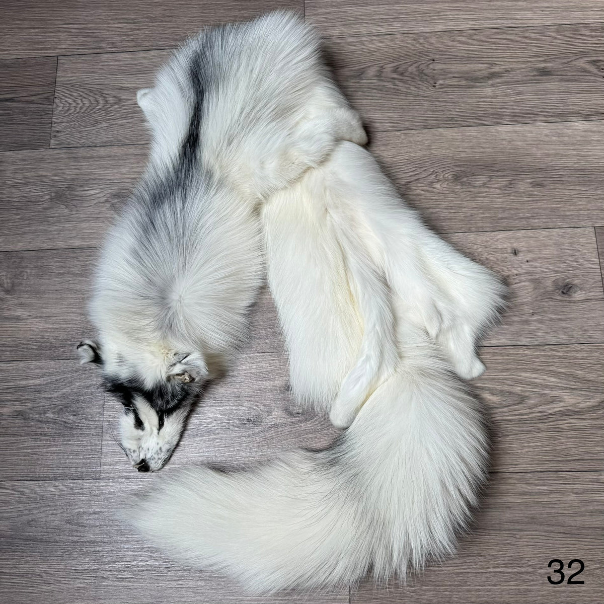 Arctic Marble fox pelt (32)