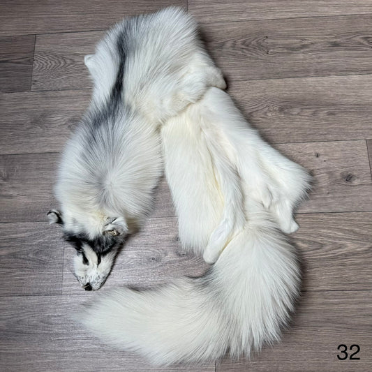 Arctic Marble fox pelt (32)