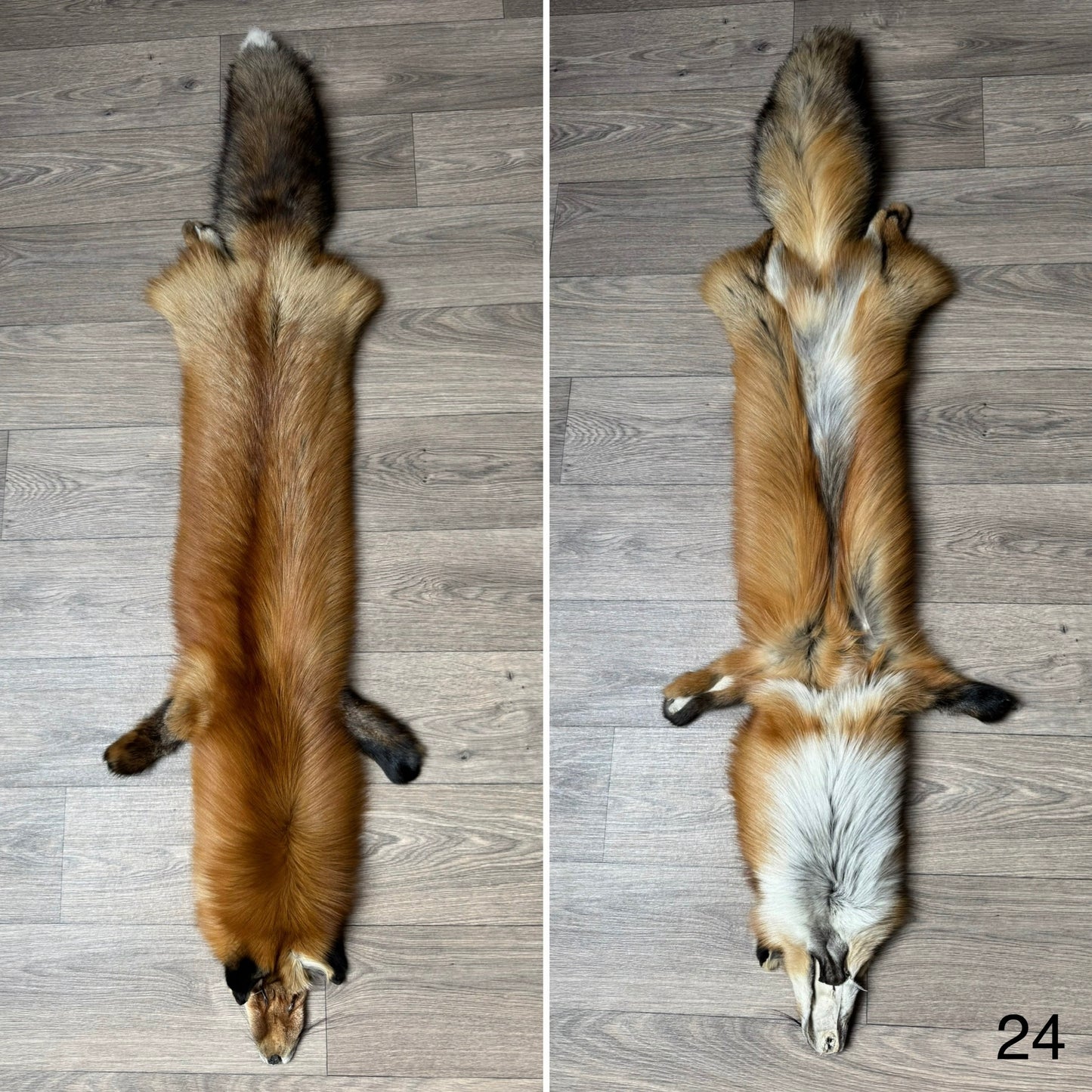 Gold fox pelt (24)