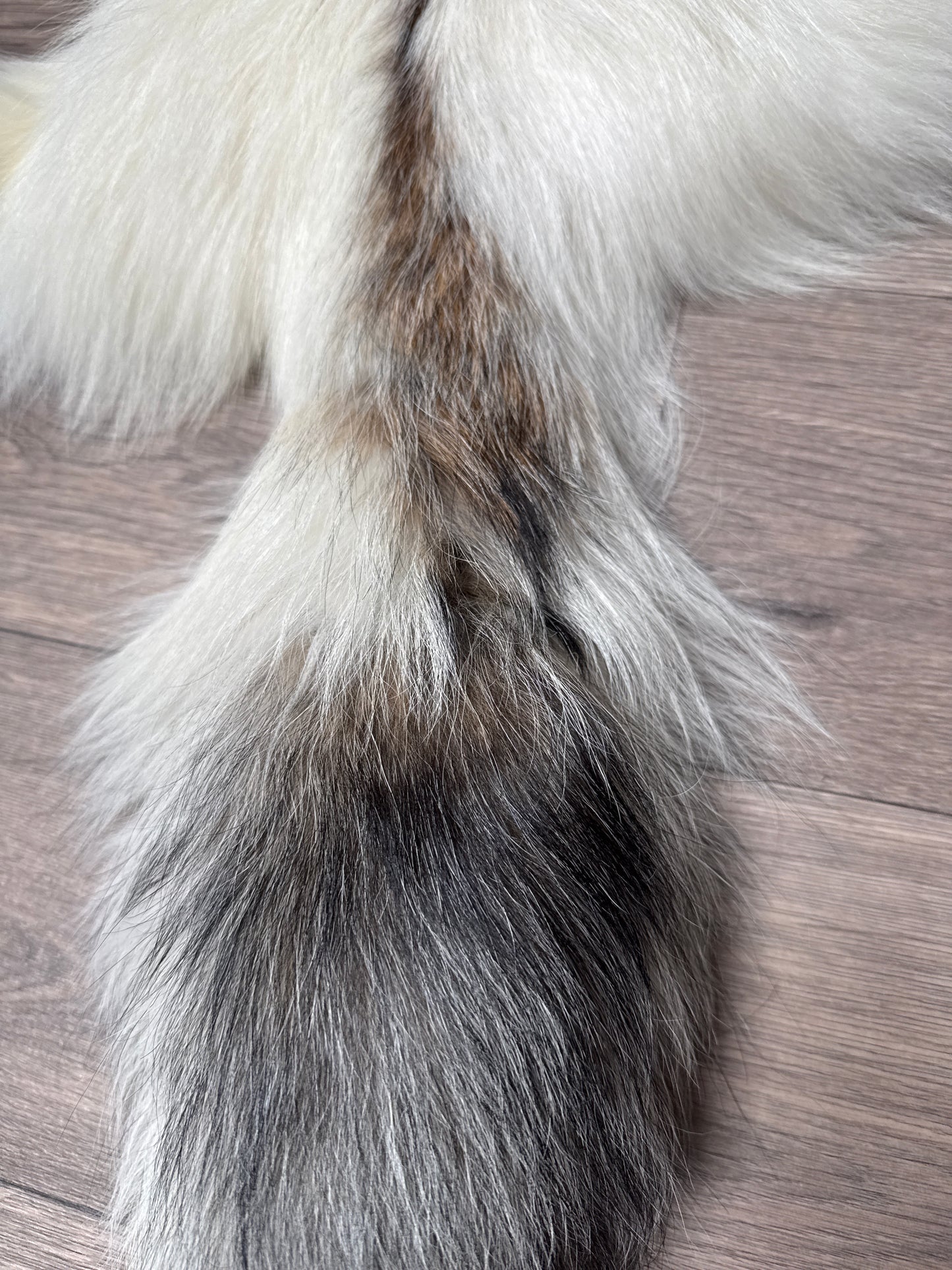 Cross Marble fox pelt (11)