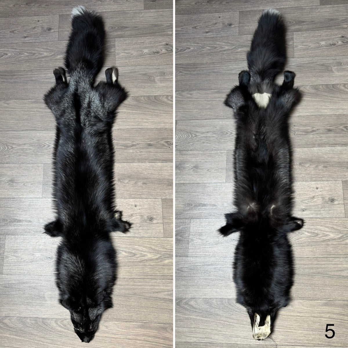 Silver fox pelt (5)