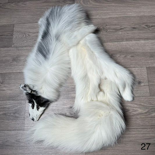 Arctic Marble fox pelt (27)