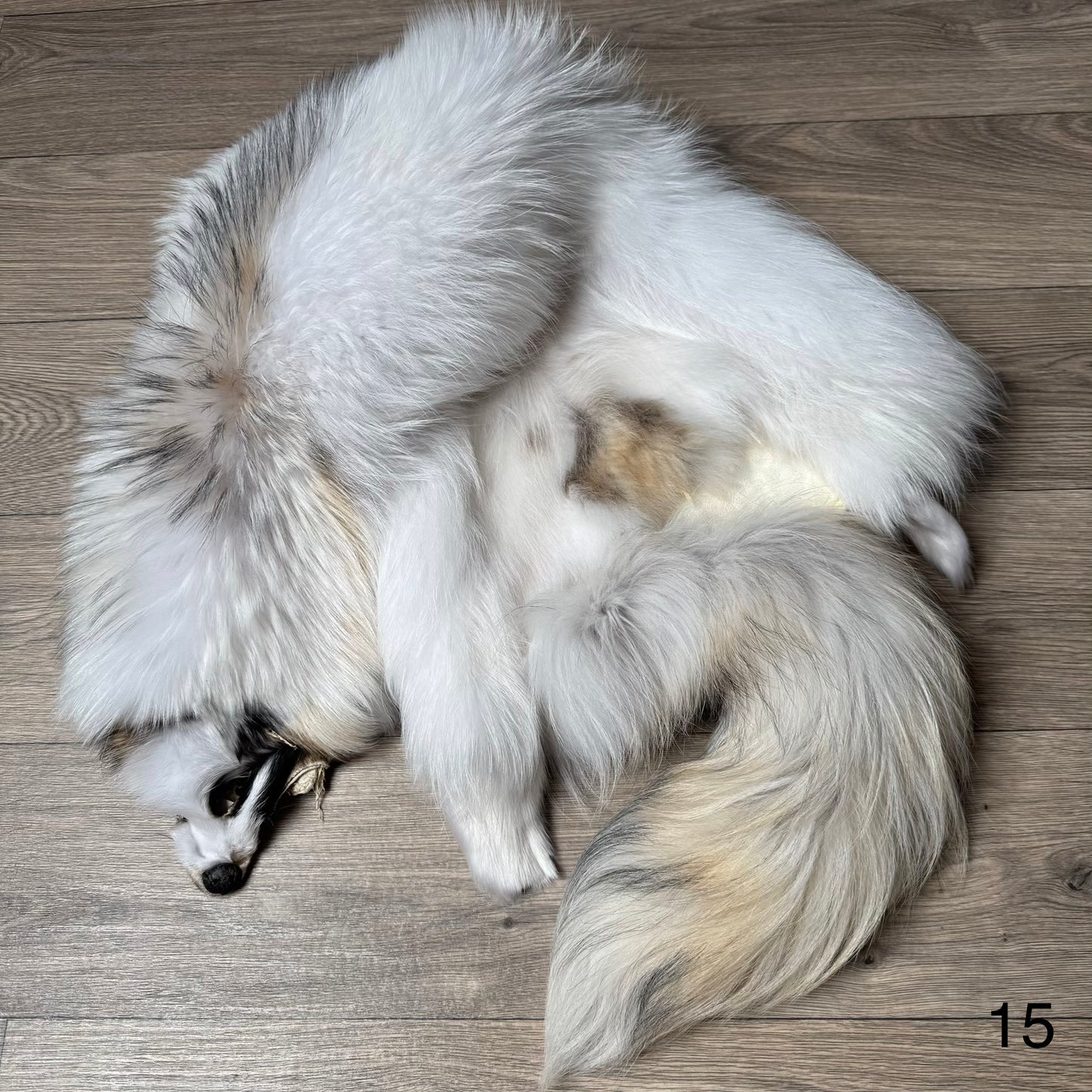 Marble tanuki pelt (15)