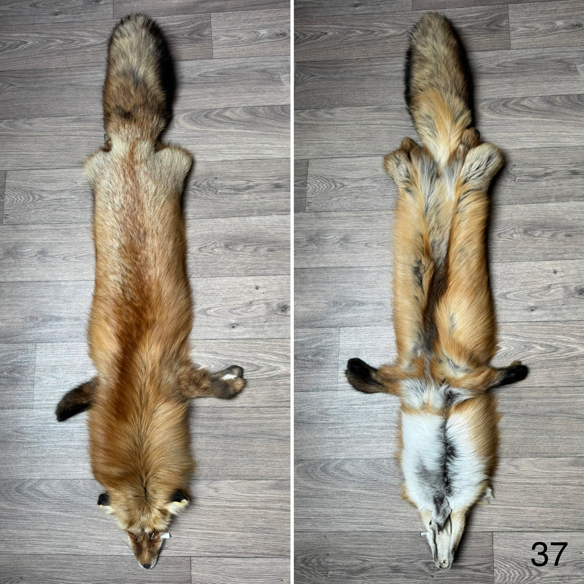 Gold fox pelt (37)