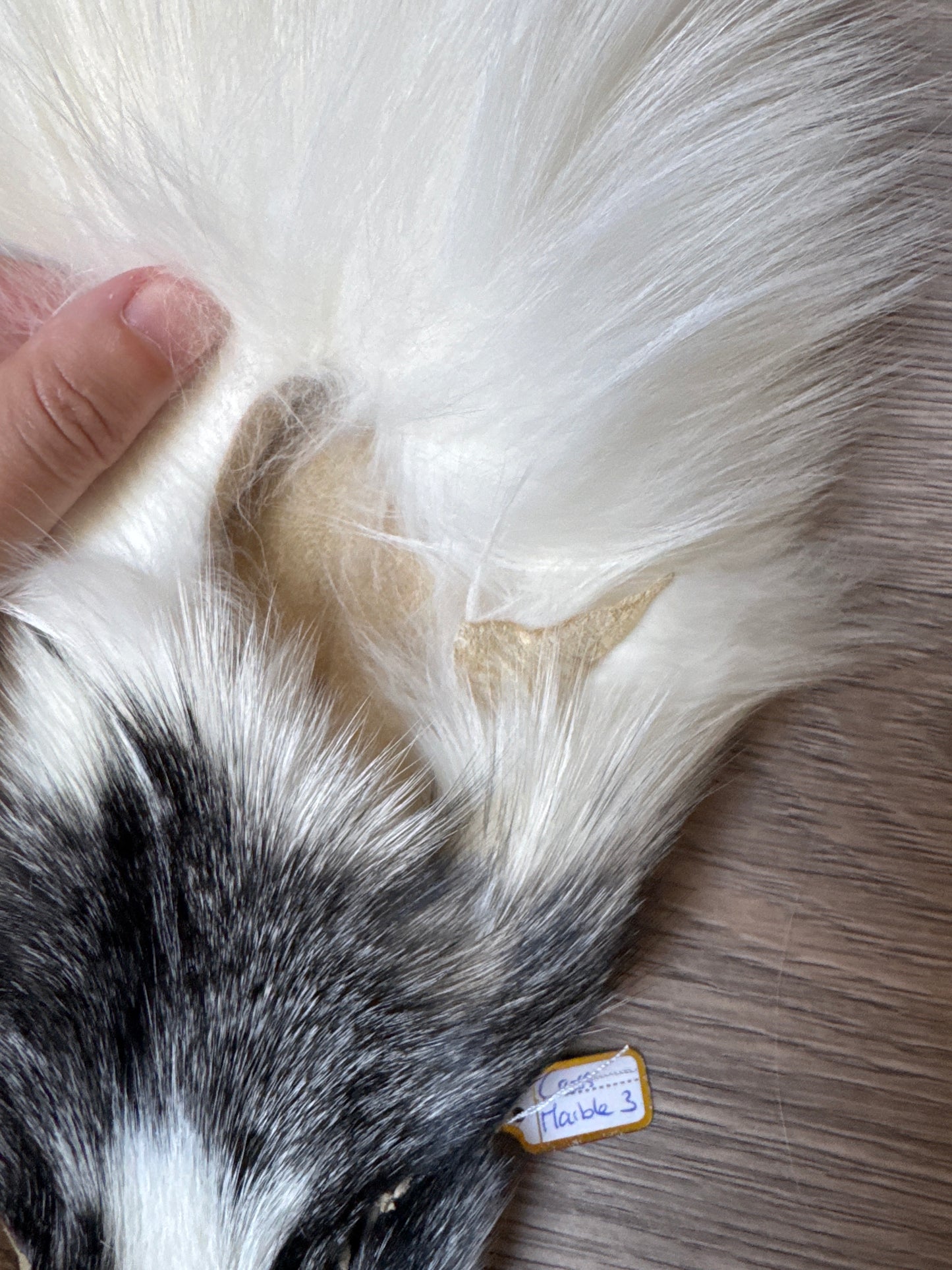 Cross Marble fox pelt (3)
