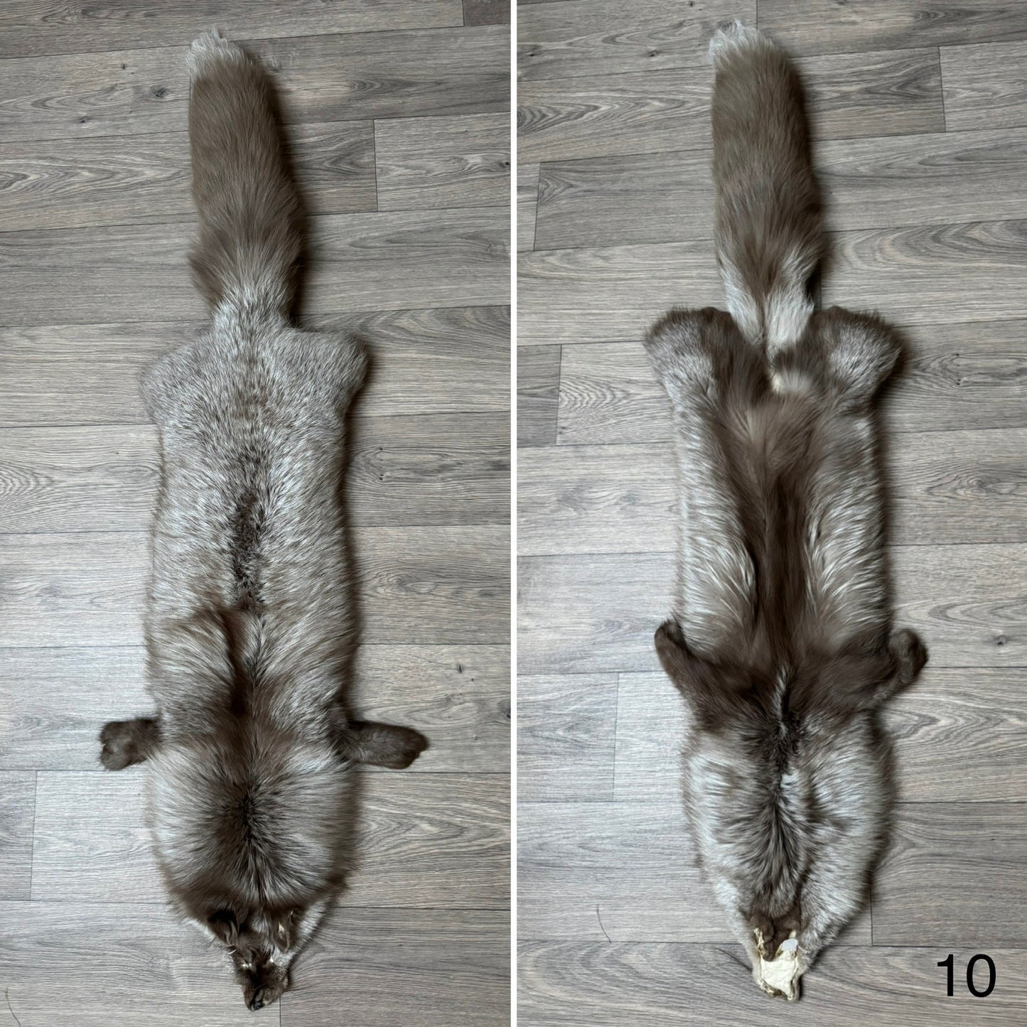 Polish Pastel fox pelt (10)