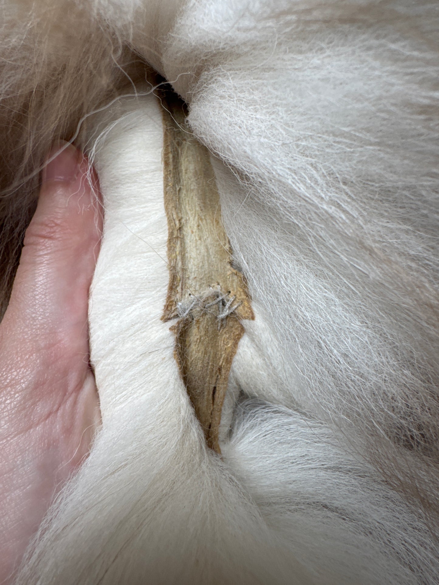 Smokey Snow Glow fox pelt (2)