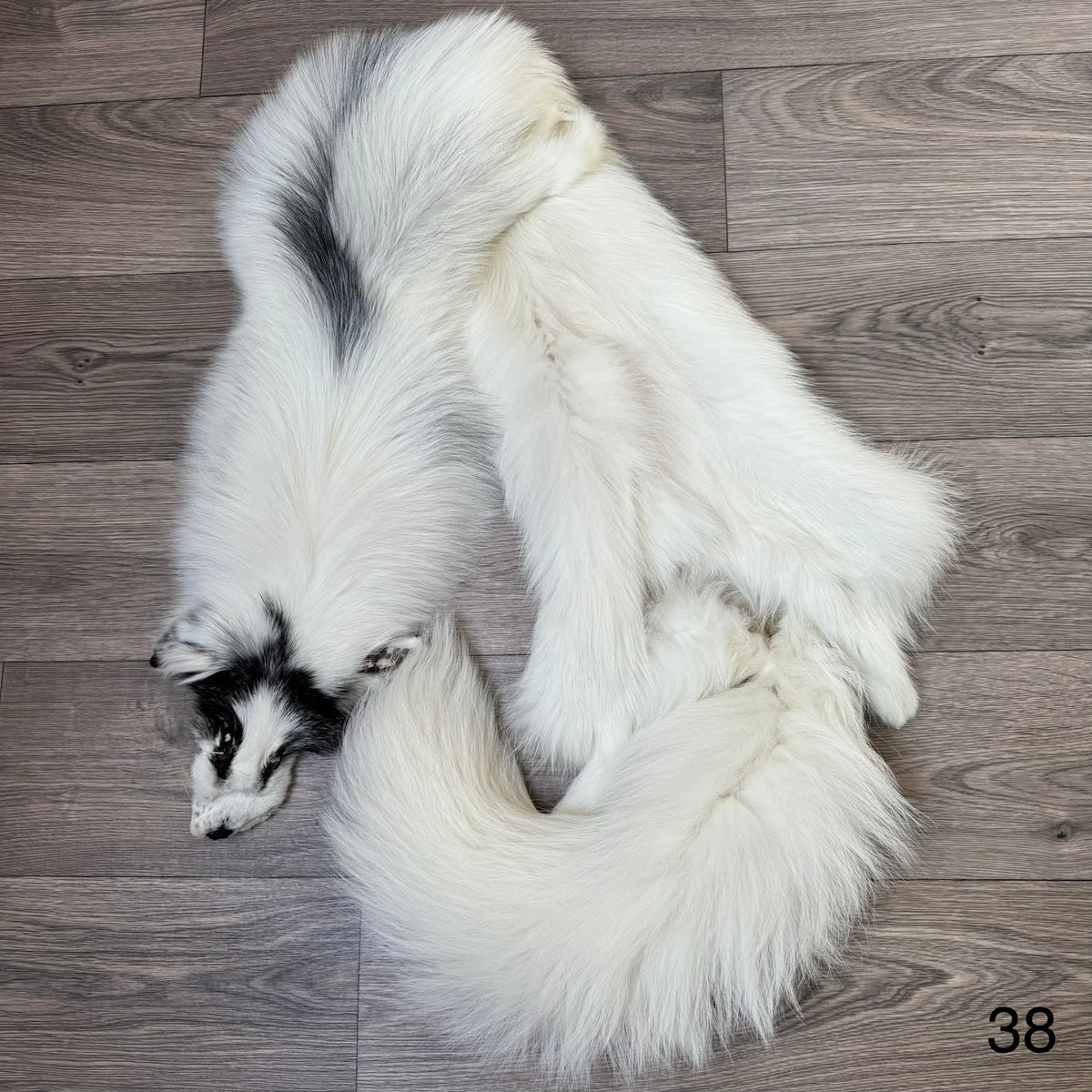 Arctic Marble fox pelt (38)
