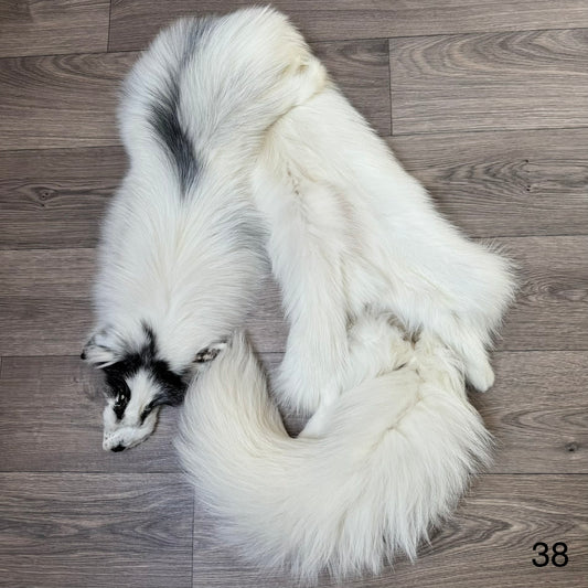 Arctic Marble fox pelt (38)