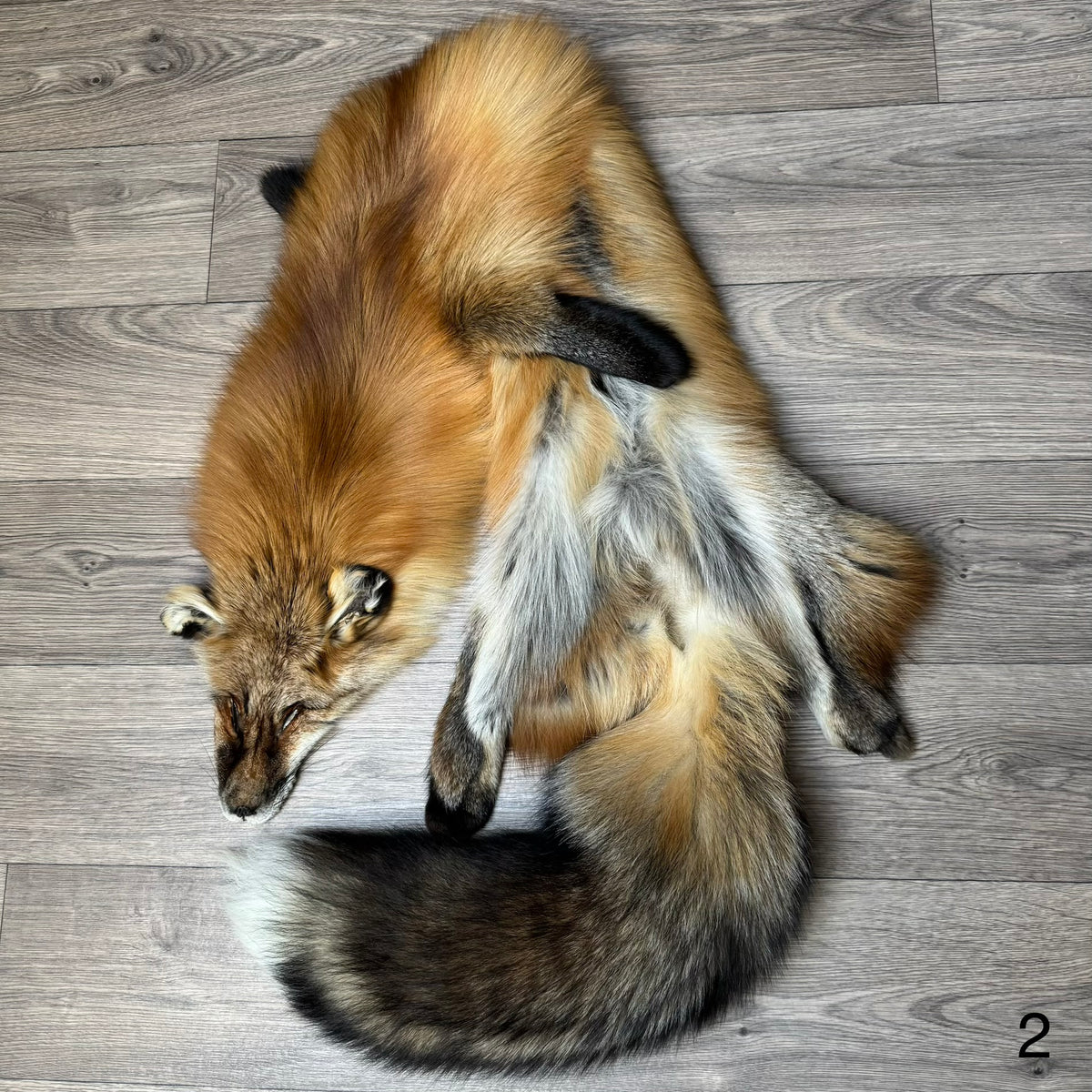 Gold fox pelt (2)