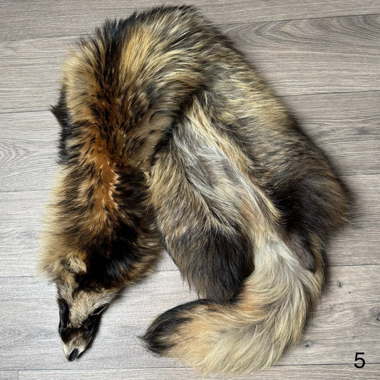 Tanuki pelt (5)