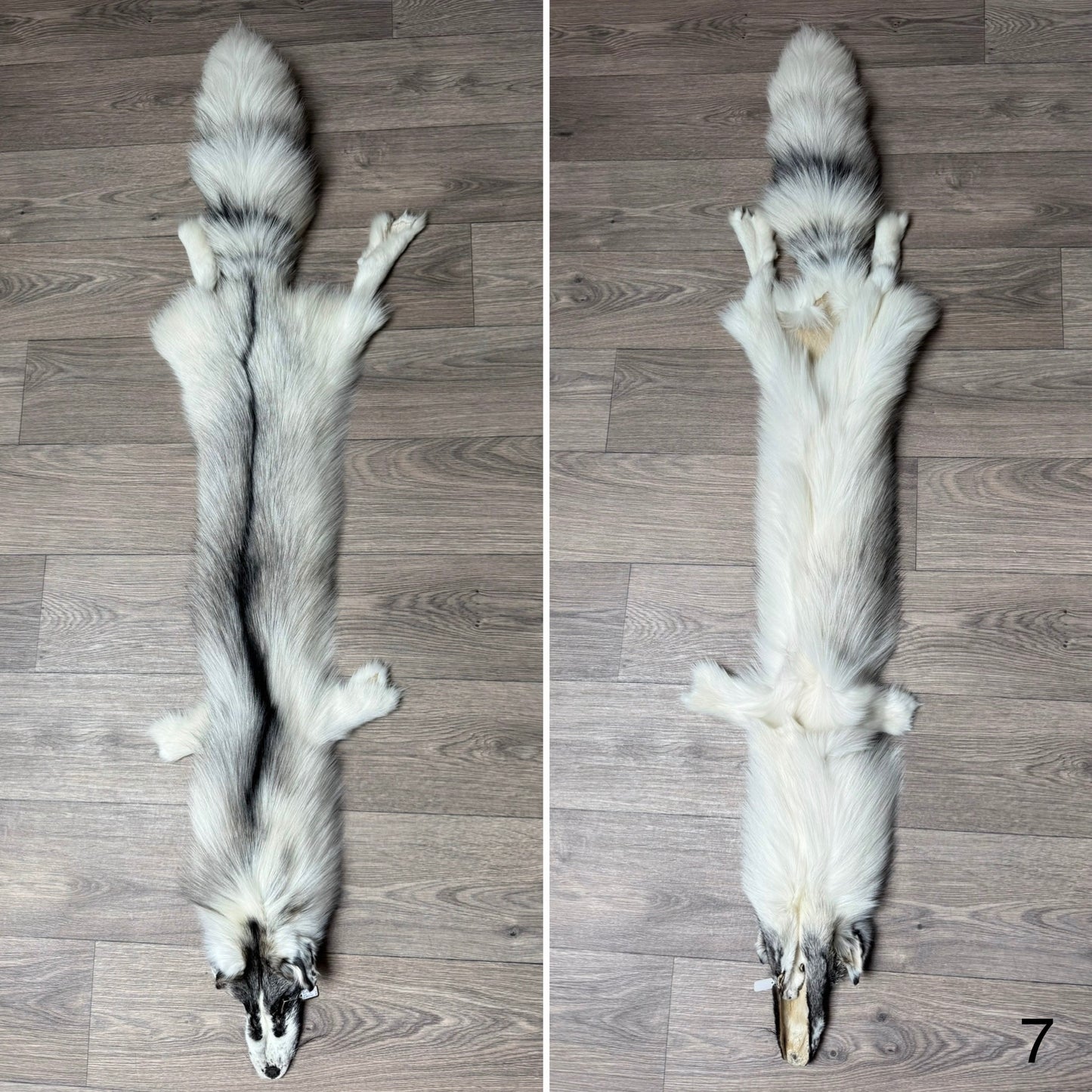 Cross Marble fox pelt (7)