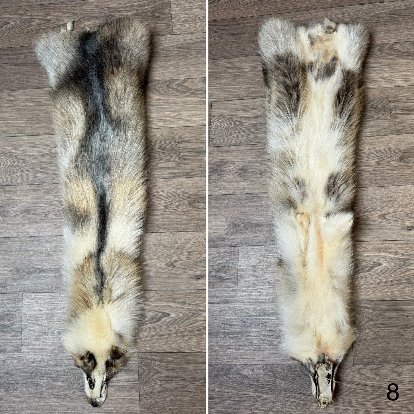 Marble tanuki pelt (8)