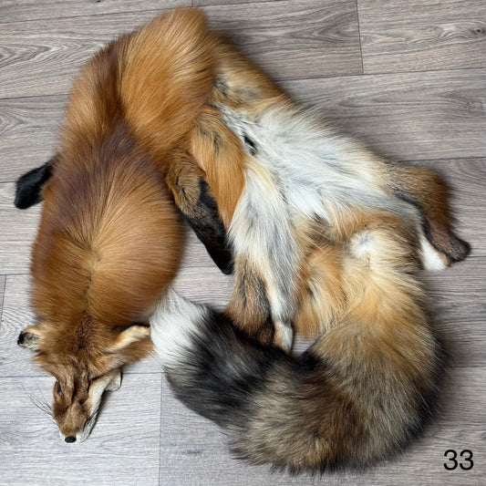 Gold fox pelt (33)