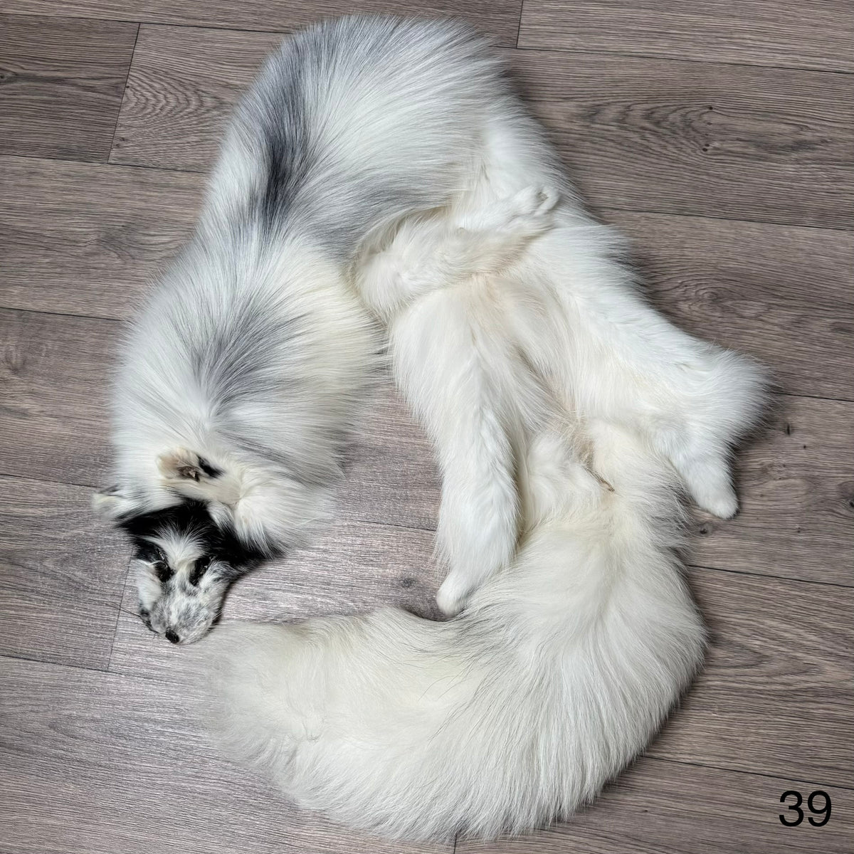 Arctic Marble fox pelt (39)